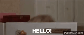 Hello!